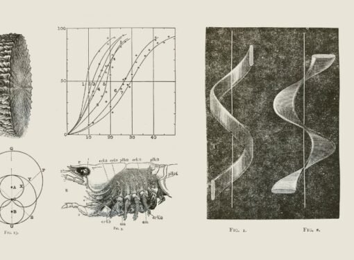 Early television set impresses Nature editors — but will it catch on?