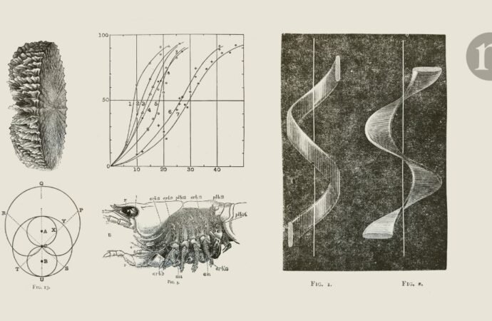 Early television set impresses Nature editors — but will it catch on?
