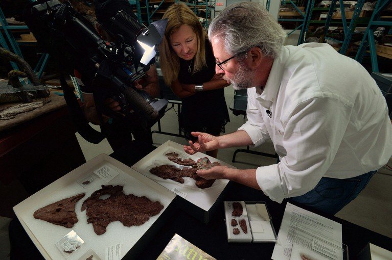 Neil Shubin talks to a journalist as he is filmed presenting a fossil of the 375-million-year-old lobe-finned fish Tiktaalik roseae at the Canadian Museum of Nature Research and Collections.