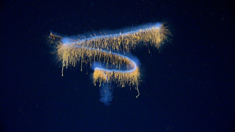 A blue fluorescent clue forms an upside-down 2.