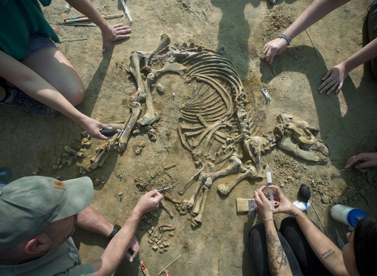 A fossil site in northeastern Spain has yielded the complete skeleton of a one-year-old tapir that lived about four million years ago.