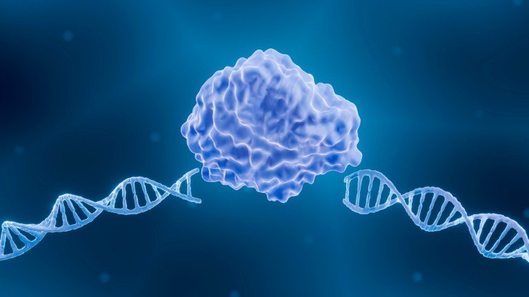 Illustration of a large, lumpy blue endonuclease enzyme situated between two broken segments of a DNA double helix on a blue background