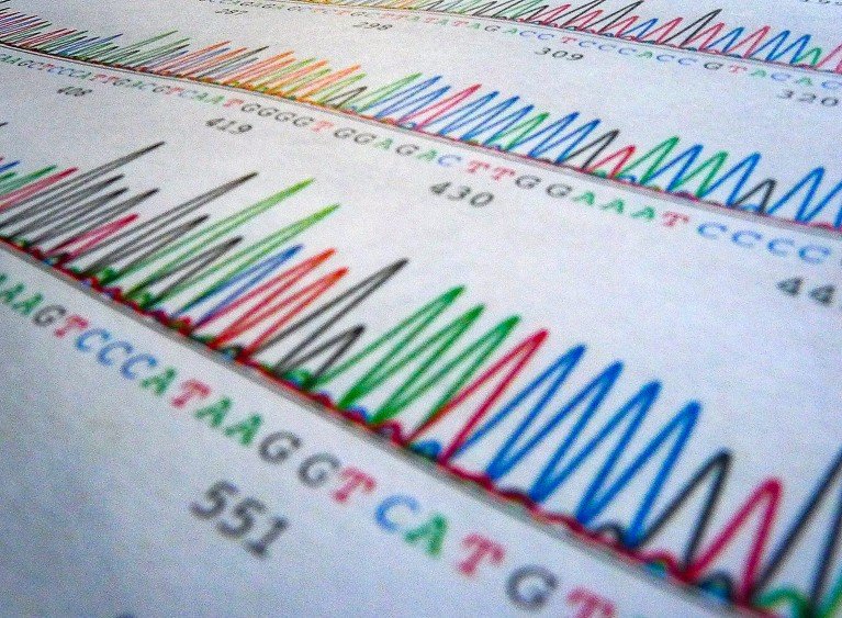 Narrow depth of field, close-up view of a color printed DNA sequencing output.