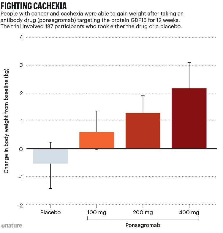 FIGHTING CACHEXIA: Bar graph showing that people with cancer and cachexia were able to gain weight after taking an antibody drug (ponsegromab) targeting the GDF15 protein for 12 weeks.