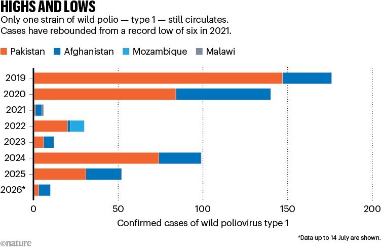 UP AND DOWN. The bar graph shows the number of wild poliovirus type 1 cases (2019-26). During this time cases have been detected in Afghanistan, Pakistan, Mozambique and Malawi.