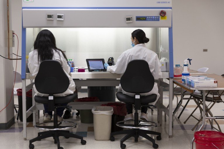 Two laboratory staff in white coats work in a biosafety cabinet with test tubes, a tablet and laboratory equipment.