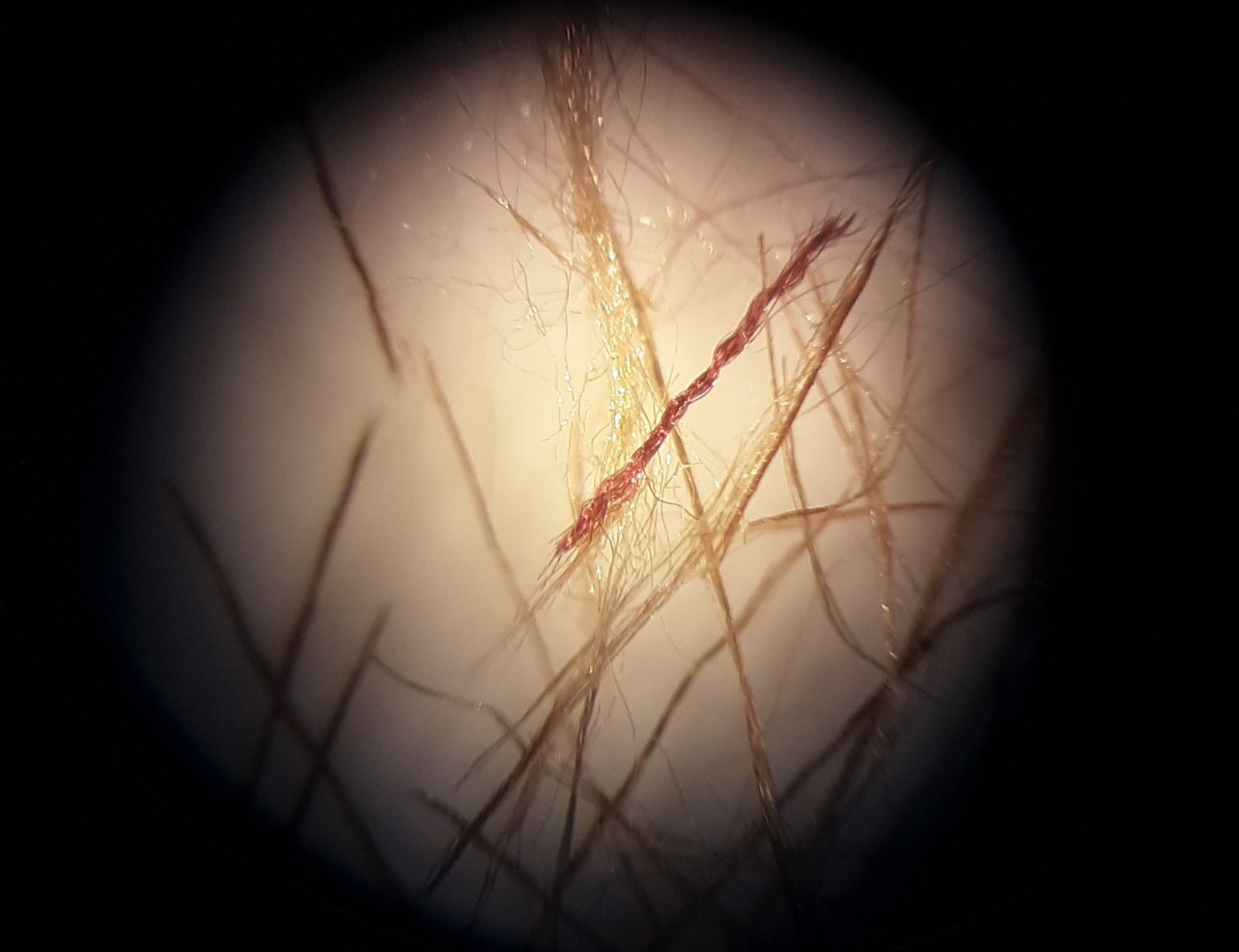 Closeup of yellow and purple fibers.