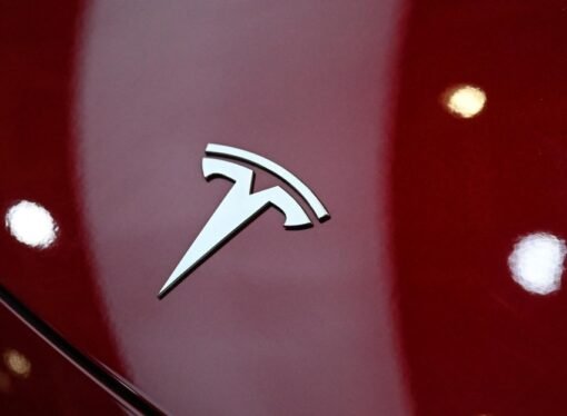 Tesla driver faces manslaughter charges over Texas crash that killed a woman inside her home