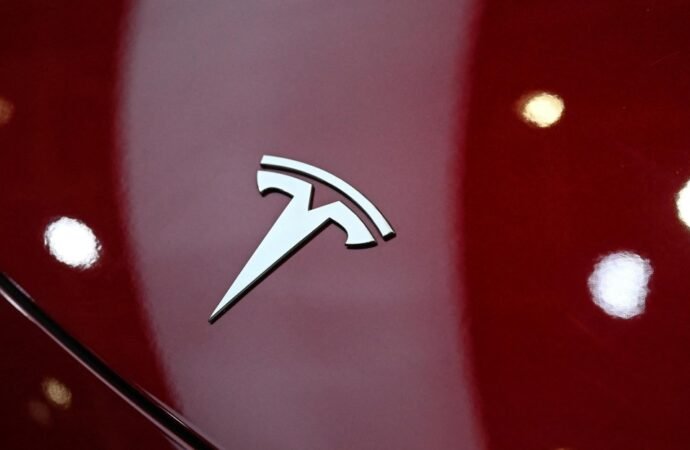 Tesla driver faces manslaughter charges over Texas crash that killed a woman inside her home