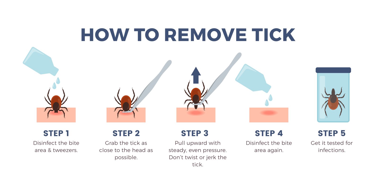 how to remove a tick steps