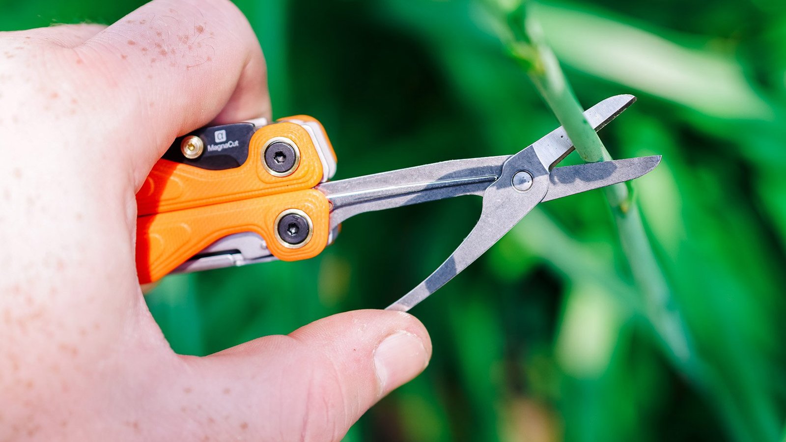 Leatherman Alpha Wave Multi-Tool with Scissors