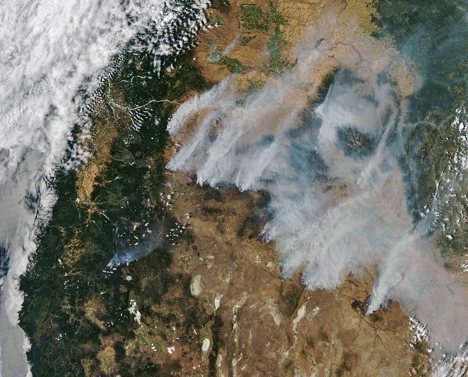 Long plumes of gray wildfire smoke flow northeast from a line of fires in central and eastern Oregon, including the Beachcomb, Shingle and Second Flat fires that threatened communities.