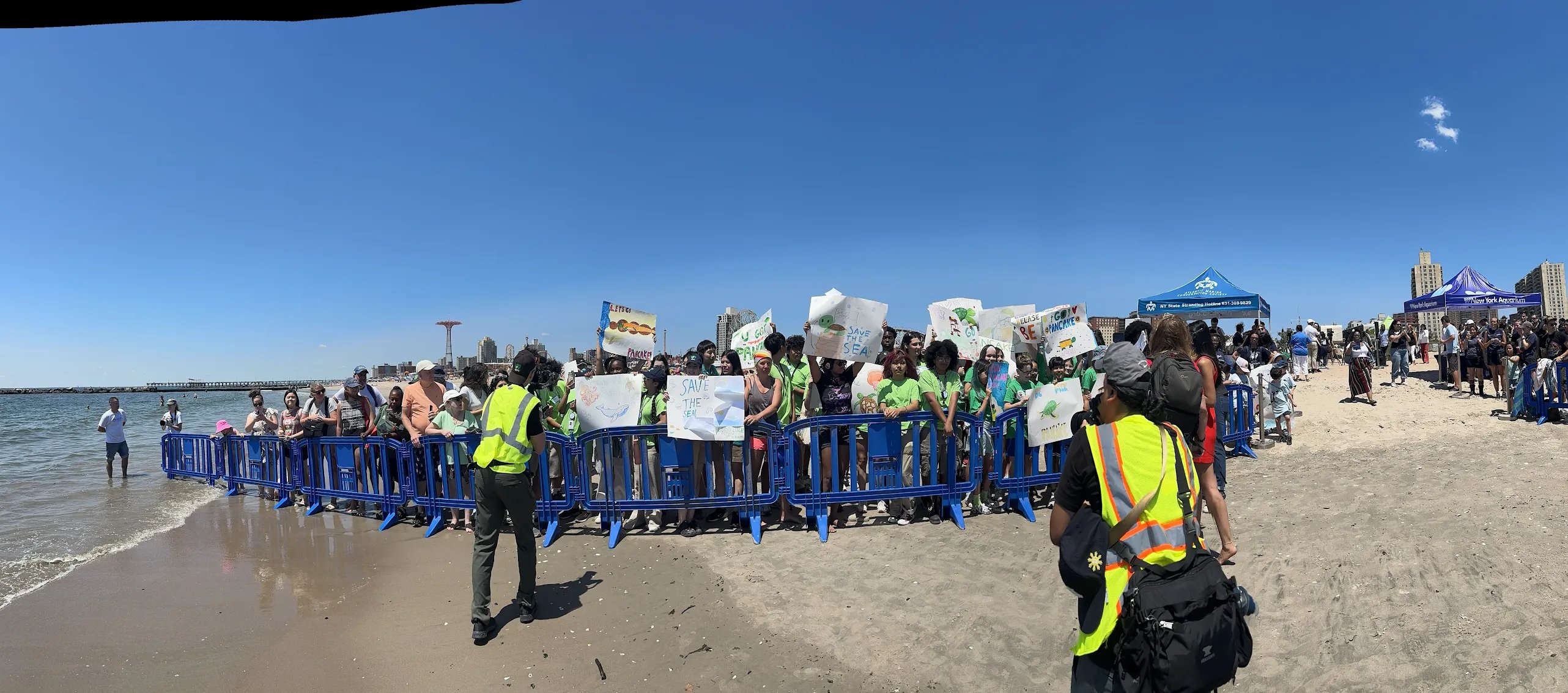 A crowd stands behind a blue fence on a beach holding signs of a turtle about to be released.