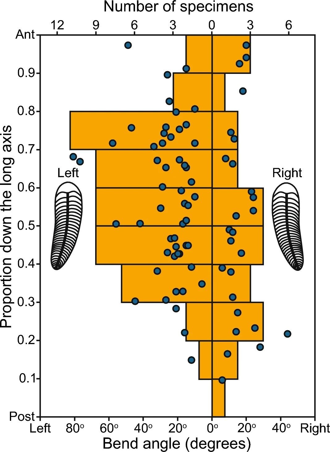 preference table