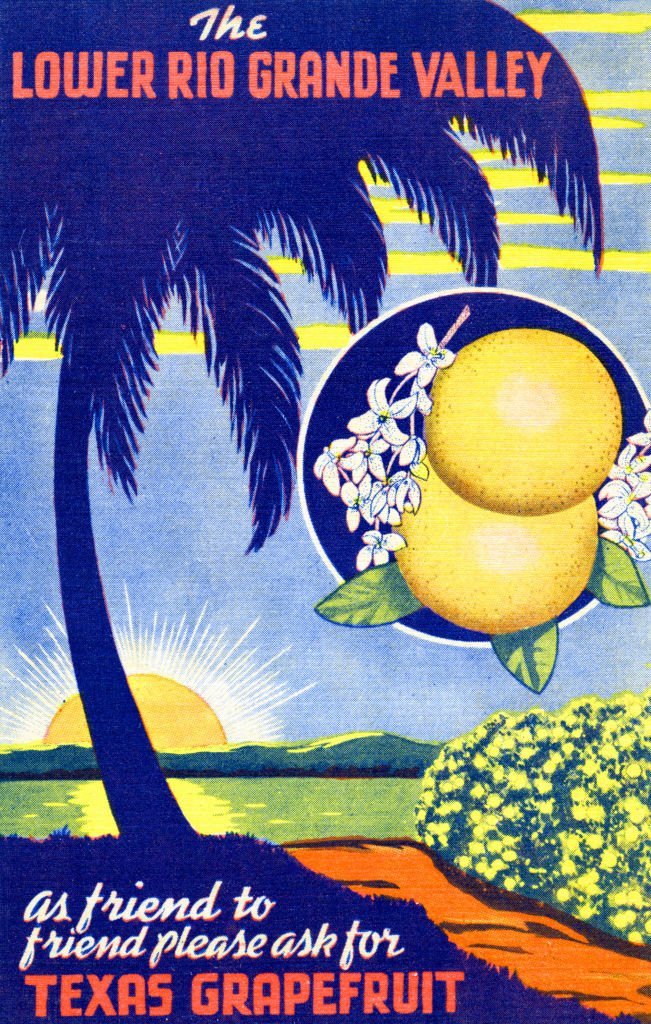 Postcard (produced by Curt Teich & Company) advertises grapefruits from the Lower Rio Grand Valley, 1940.