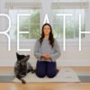 10 Minute Balancing Breathwork | Yoga With Adriene