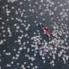 16 gorgeous images from the 2026 Aerial Photographer of the Year Awards