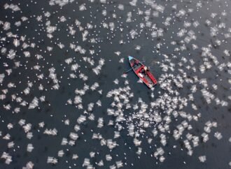 16 gorgeous images from the 2026 Aerial Photographer of the Year Awards