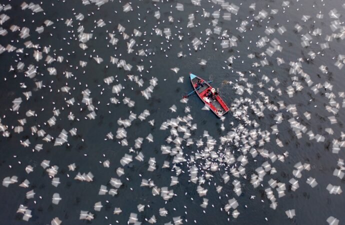 16 gorgeous images from the 2026 Aerial Photographer of the Year Awards
