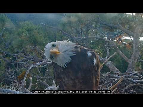 8-23-2026 Sunday Sunrise Shenanigans... thumbnail