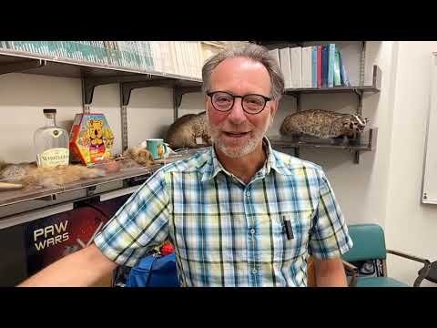 Fat Marmot Week 2026 thumbnail