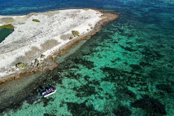 The Abrolhos Islands are a key focus for scientists looking to prepare wildlife populations for bird flu incursions.