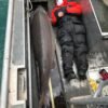 300-year-old sturgeon are swimming around the Great Lakes