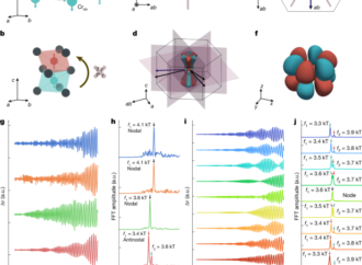3D bulk-resolved g-wave altermagnetic order parameter in CrSb – Nature
