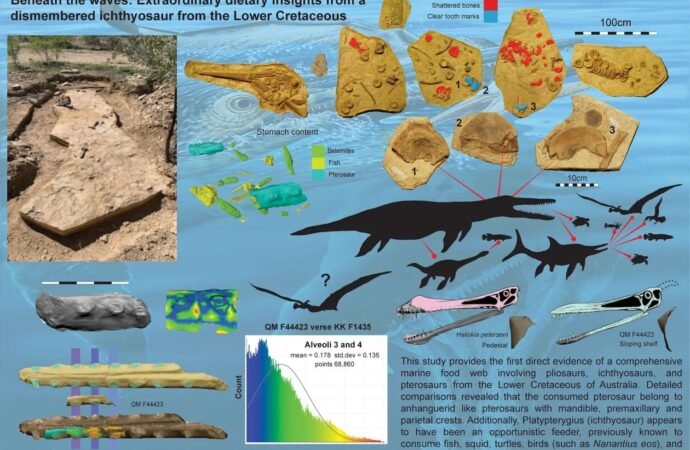 40-foot-long Kronosaurus ate a 23-foot-long marine reptile who ate a pterosaur, fossil shows