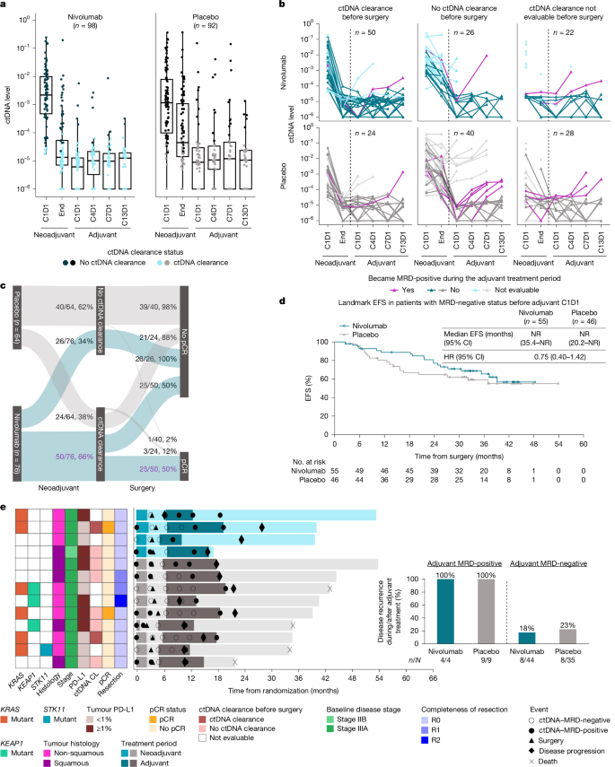 Fig. 2: Outcomes by ctDNA clearance during the neoadjuvant treatment period and MRD status during the adjuvant treatment period.