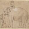 7 peculiar pets in history: From a beer-drinking elk to the Pope’s elephant