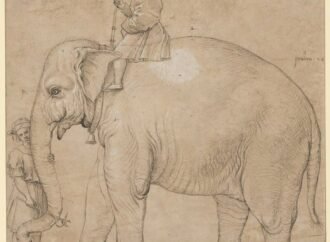 7 peculiar pets in history: From a beer-drinking elk to the Pope’s elephant