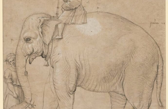 7 peculiar pets in history: From a beer-drinking elk to the Pope’s elephant