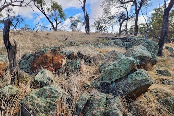 Quartz outcrop at Dalaroo Metals’ Watheroo copper-nickel- PGE project in Western Australia.