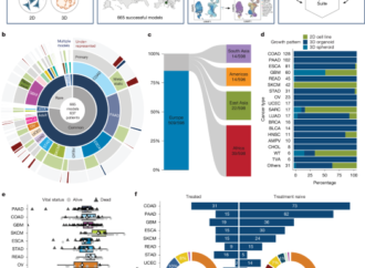 A compendium of next-generation patient-derived models for diverse cancers – Nature