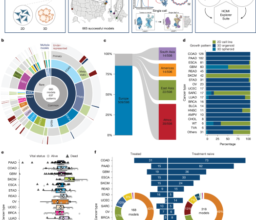 A compendium of next-generation patient-derived models for diverse cancers – Nature