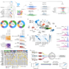 A dependency map enhanced with next-generation 3D cancer models – Nature