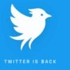 A former Twitter lawyer is bringing back the blue bird and testing a new approach to moderation