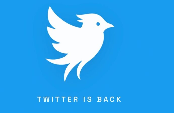A former Twitter lawyer is bringing back the blue bird and testing a new approach to moderation