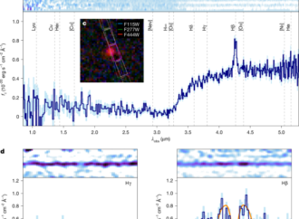 A gas-enshrouded and gas-reddened black hole at cosmic dawn – Nature
