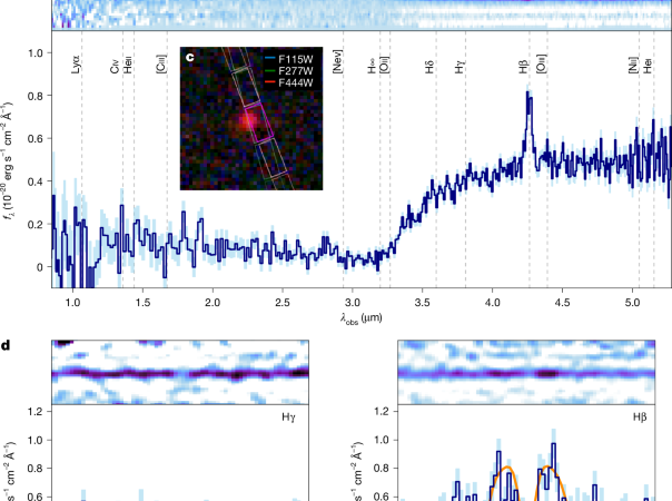 A gas-enshrouded and gas-reddened black hole at cosmic dawn – Nature
