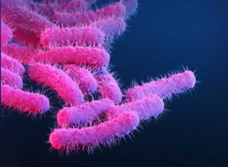 A new vaccine could vanquish a major cause of deadly diarrheal disease