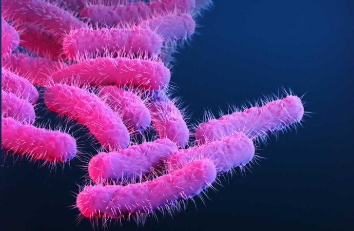 A new vaccine could vanquish a major cause of deadly diarrheal disease