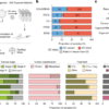 A tumour-derived organoid biobank maps cancer gene dependencies – Nature