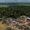 A ‘super’ El Niño could transform the Amazon. Is the world’s biggest rainforest doomed?
