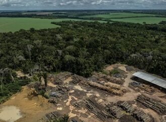 A ‘super’ El Niño could transform the Amazon. Is the world’s biggest rainforest doomed?