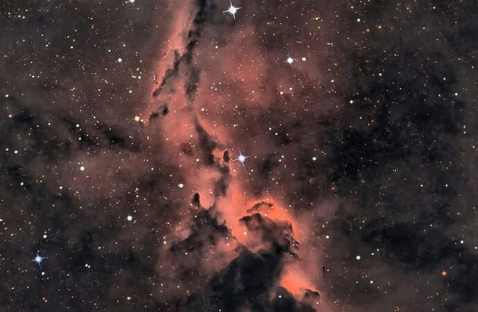 APOD: 2026 August 20 – The Elephant’s Trunk in Cepheus – NASA Science