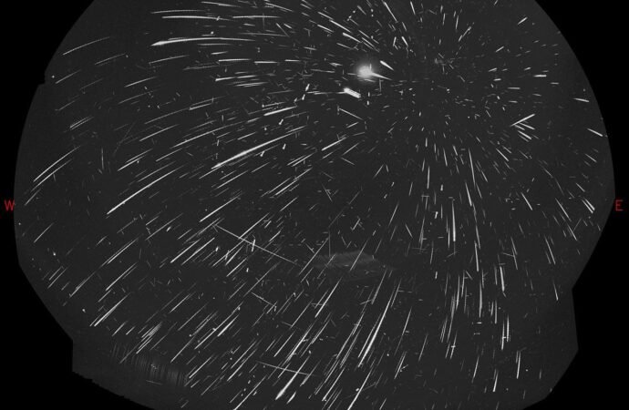 APOD: 2026 August 22 – Mostly Perseids – NASA Science