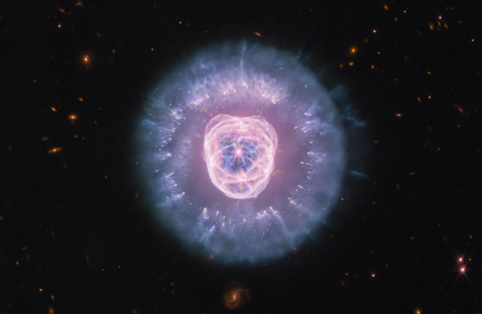APOD: 2026 August 26 – JWST Images The Lion’s Head Nebula – NASA Science