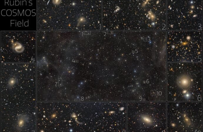 APOD: 2026 August 7 – Rubin’s Cosmos Field – NASA Science